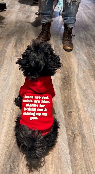 Design your own Dog Hoodie