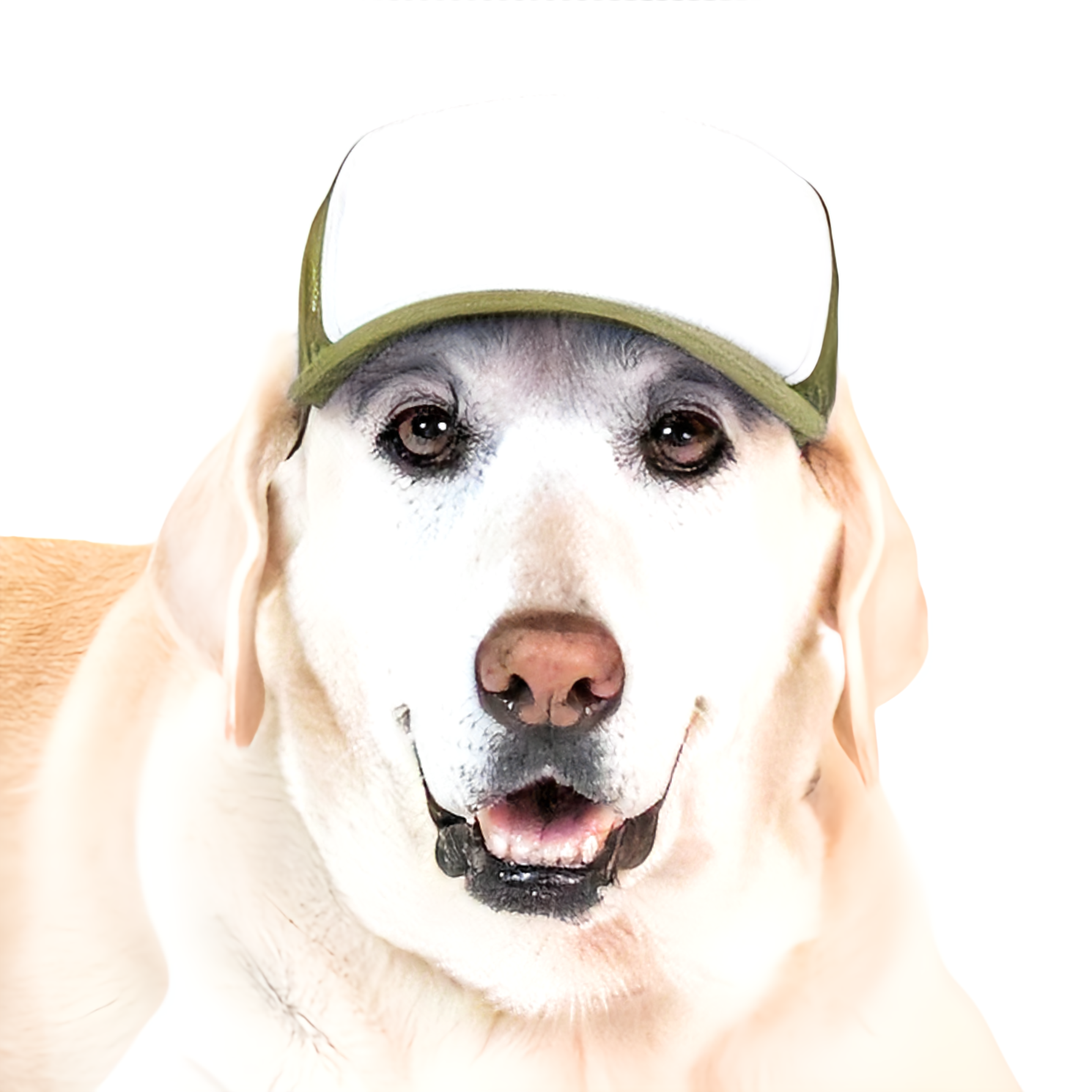 Pup Lid - Dog Trucker Hat