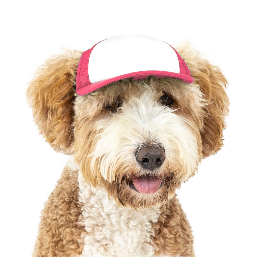 Pup Lid - Dog Trucker Hat