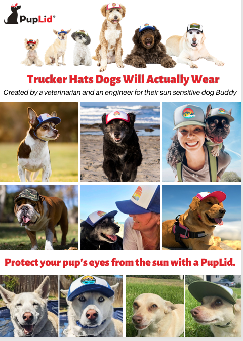 Pup Lid - Dog Trucker Hat